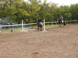 img_9488_web